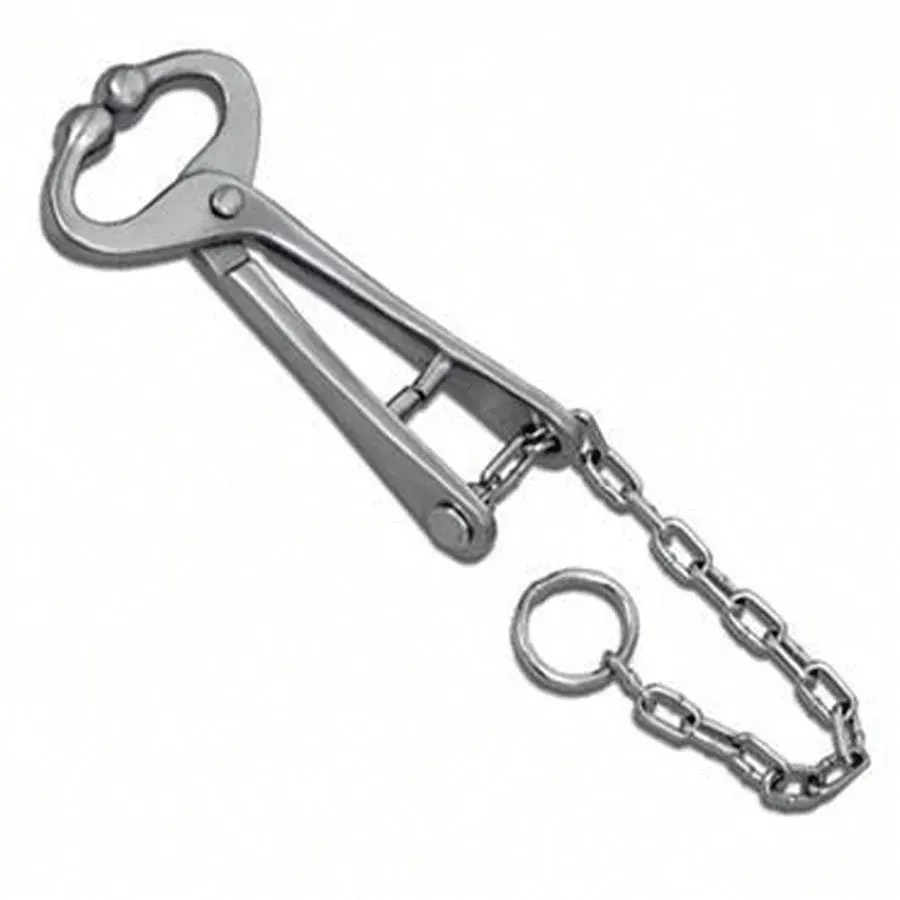 Agri-Pro Bull Lead with Chain