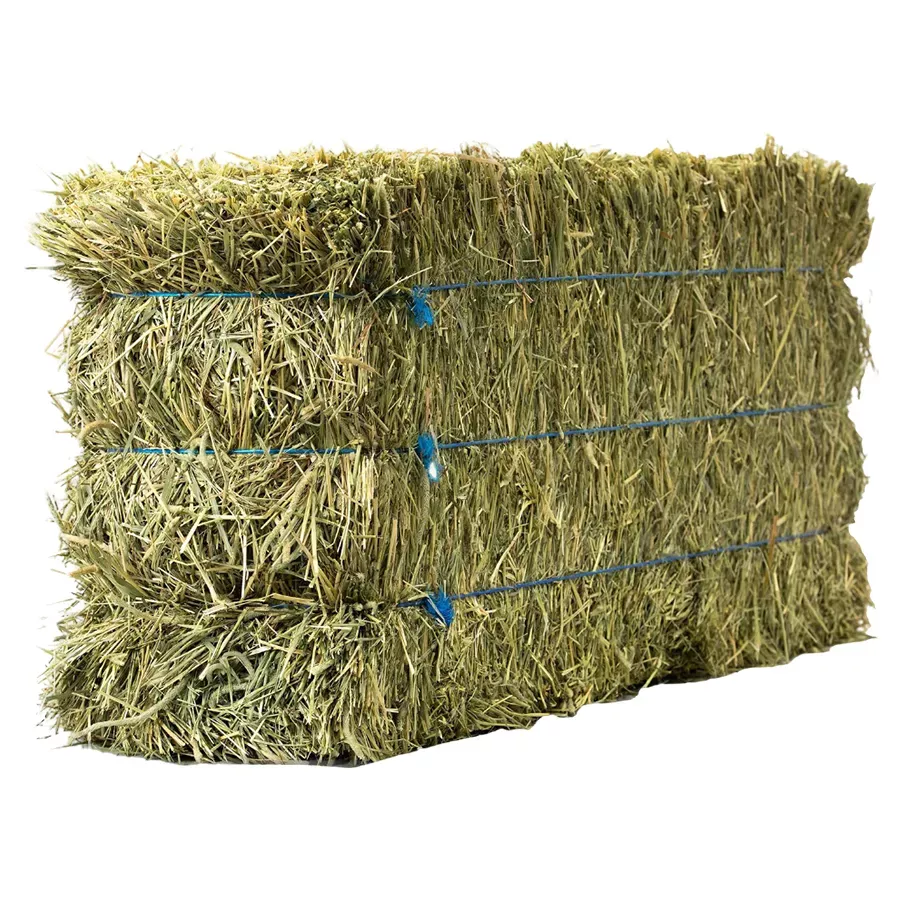 Anderson 3-Tie Timothy Hay Bale - 90 lb