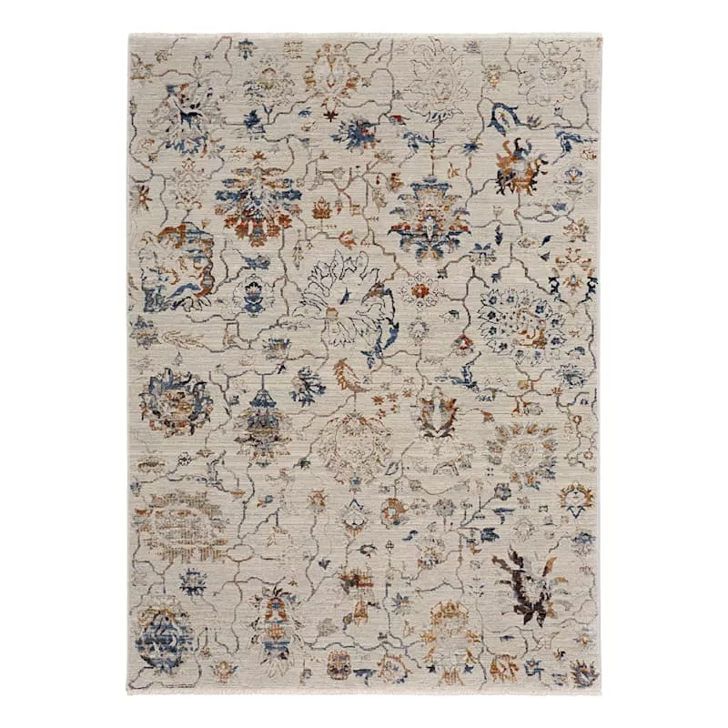 (B888) Hayden Paisley Multicolor Area Rug, 5x7
