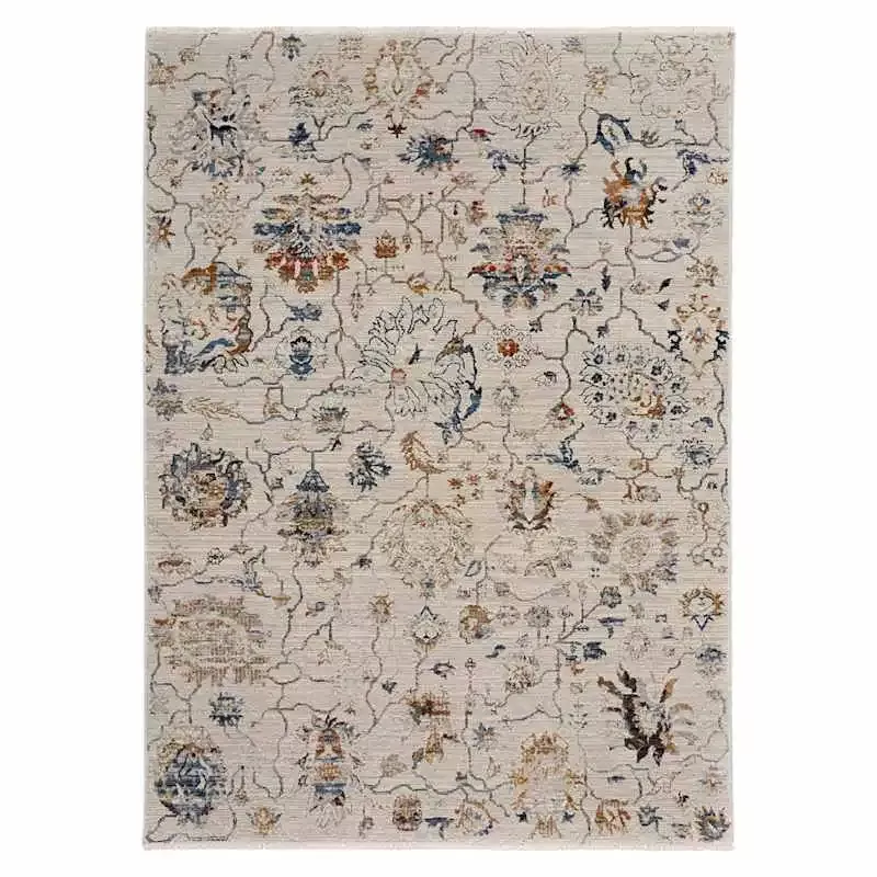 (B888) Hayden Paisley Multicolor Area Rug, 7x9