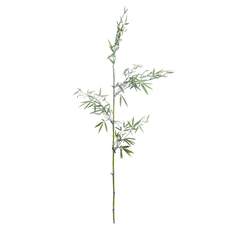 Bamboo Branch, 46"
