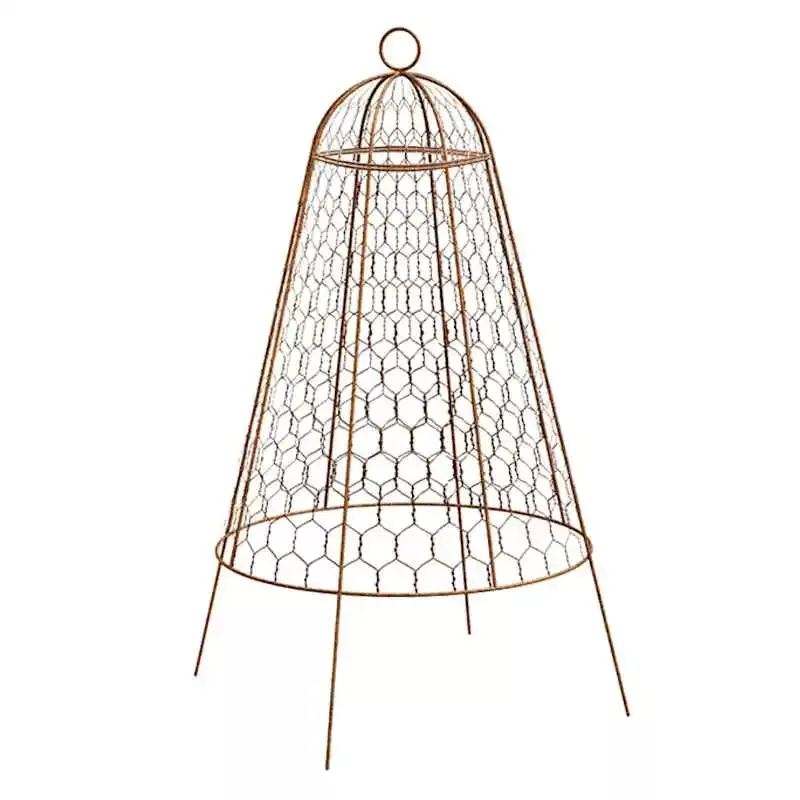 Black Cloche Plant Protector, 20x14
