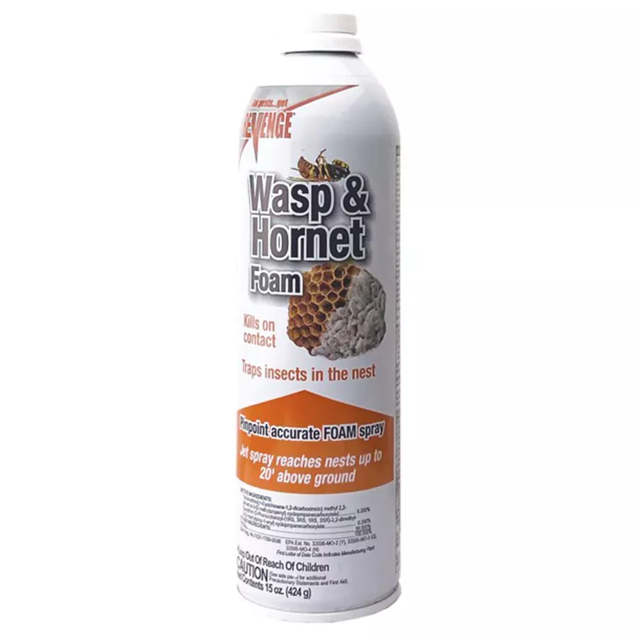 Bonide Stinger Wasp, Hornet & Yellow Jacket Foam Spray