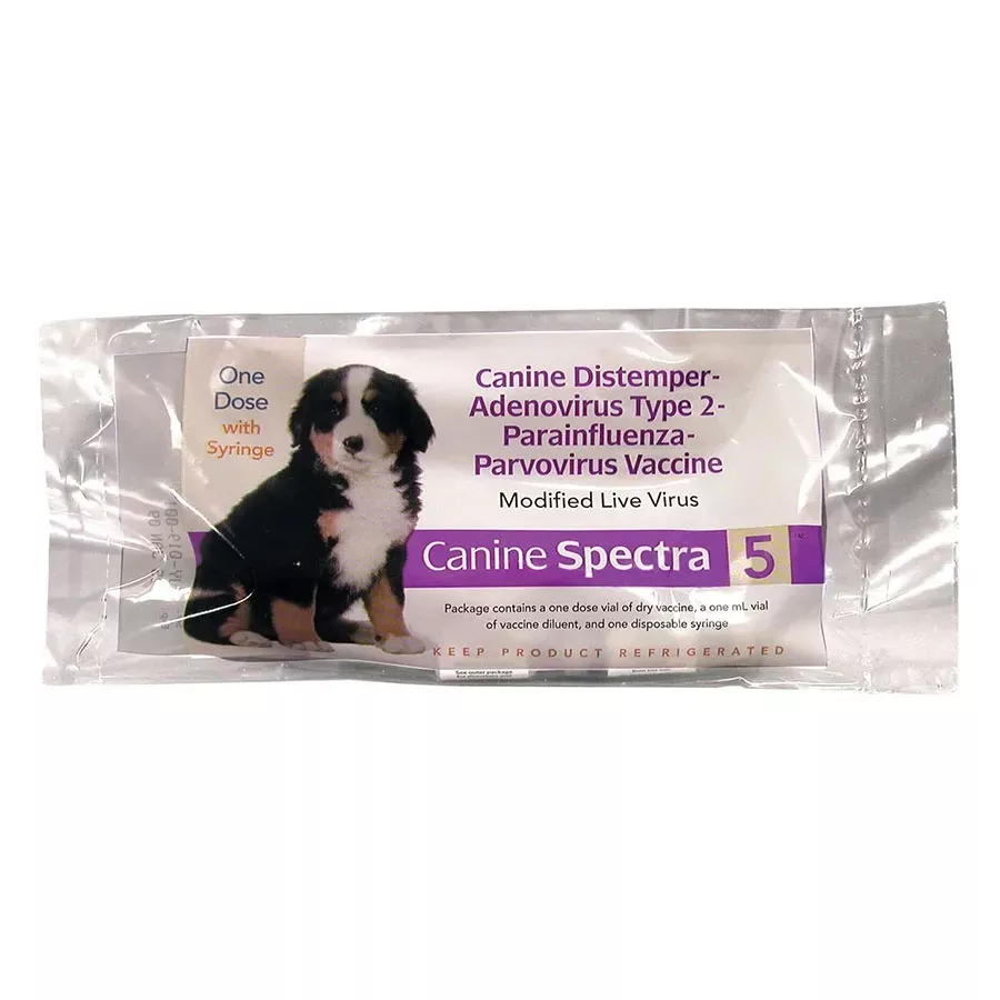 Canine Spectra 5 - 1 ds