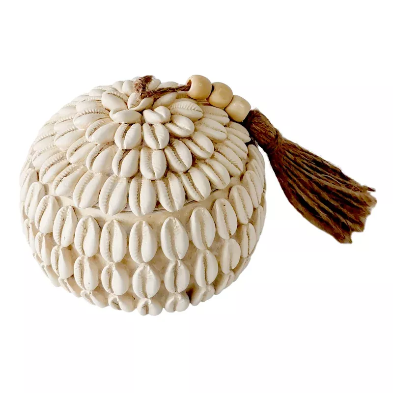 Cowrie Shell Placeholder Box, 3.5"