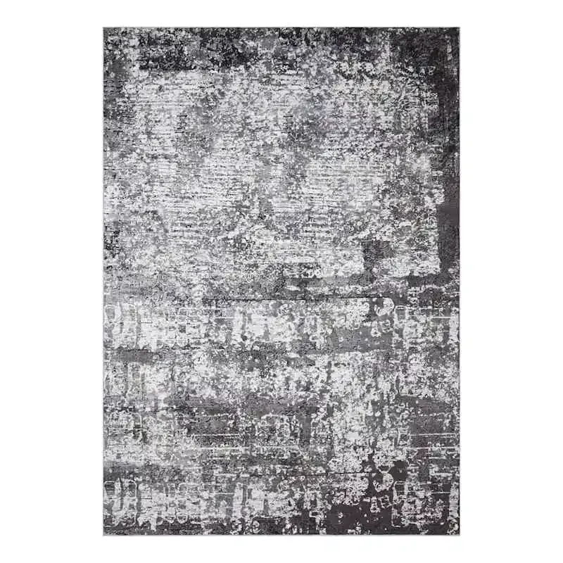 (D612) Freya Black Abstract Area Rug, 5x7