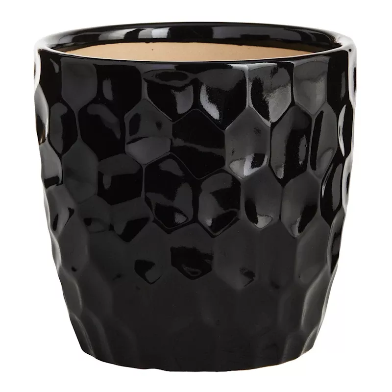 Elena Black Indoor Ceramic Planter, Small