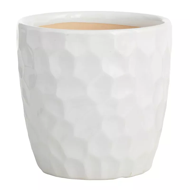 Elena White Indoor Ceramic Pot, Small