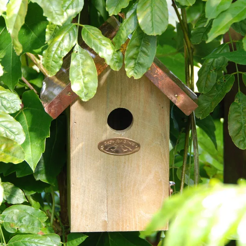 Fallen_Fruit Wren Nesting Box With Copper Roof