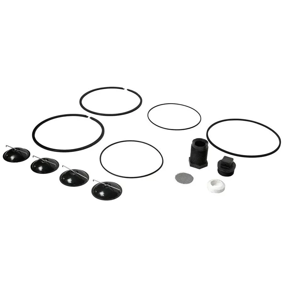 Fill-Rite 5200 Series Pump Rebuild Kit