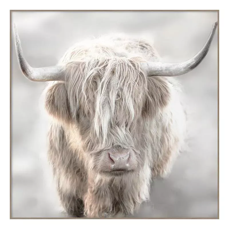 Glass Framed Highland Cow Print Wall Art, 26"
