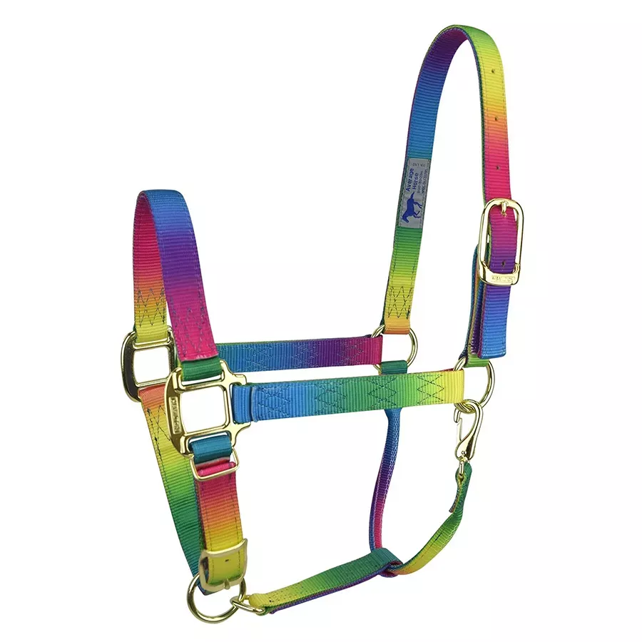 Hamilton Adjustable Nylon Quality Halter with Snap - Rainbow - Average (8-11) - 1"