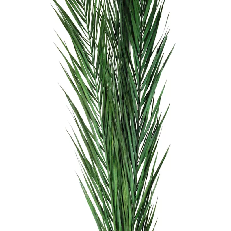 Kager Leaves, 3'-4'