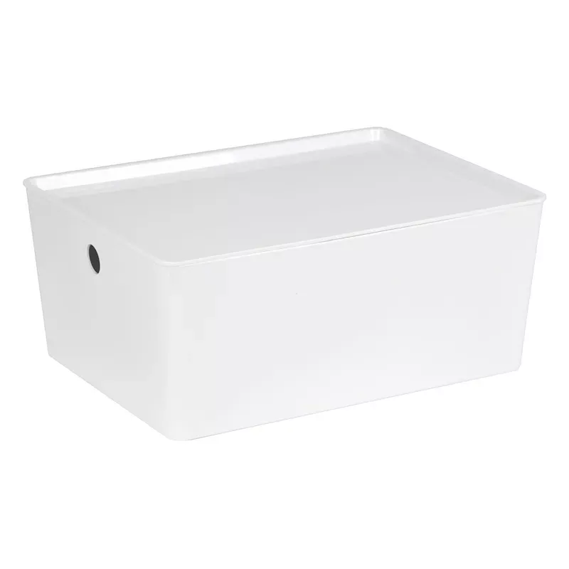 Lisse White Storage Container, 12L
