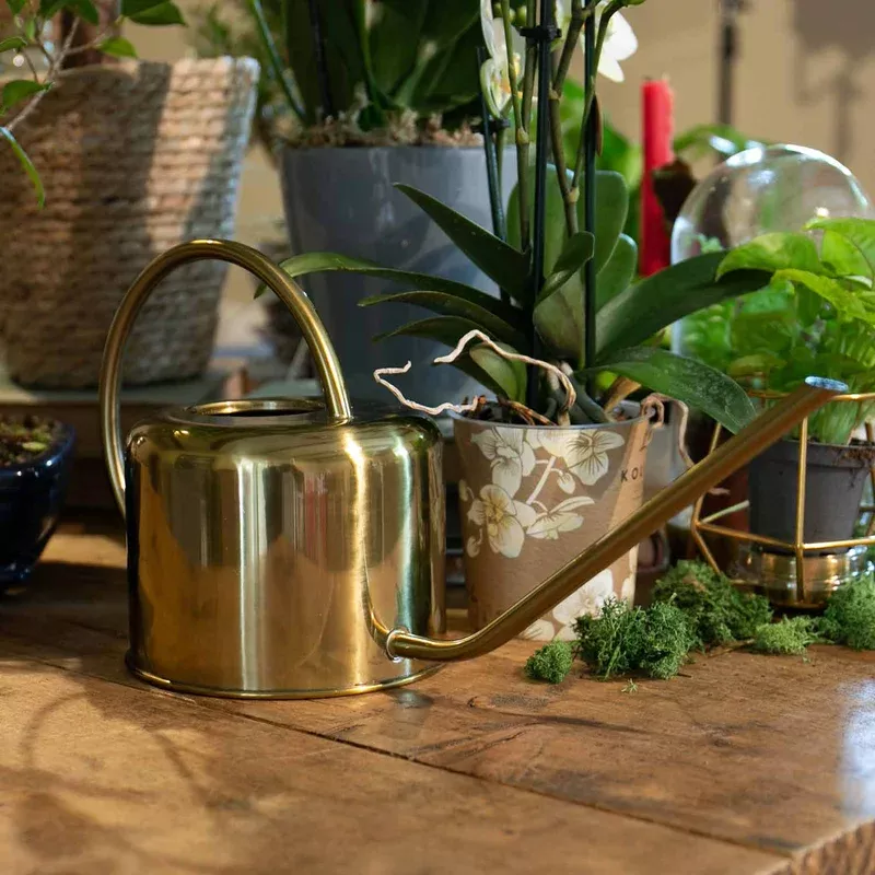 Marshalls Garden Copper-plated Indoor Watering Can