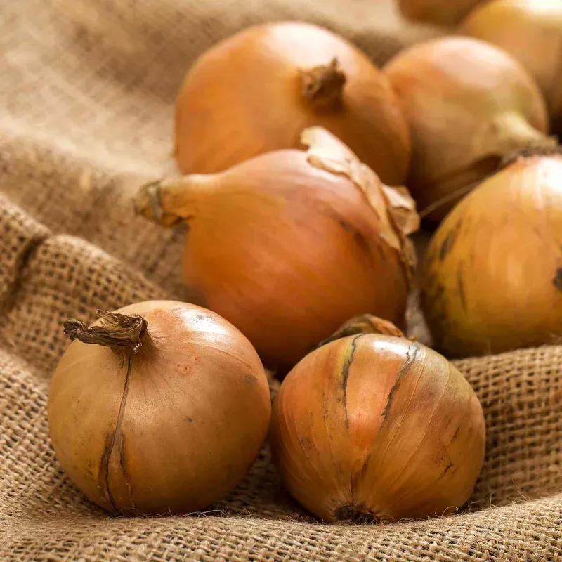 Marshalls Garden Crusado Early-maturing Yellow Onion Sets Approx. Sets