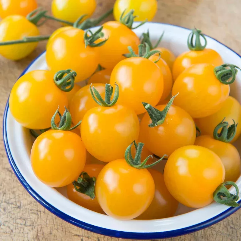 Marshalls Garden Tomato Seeds Yellow Mimi F1