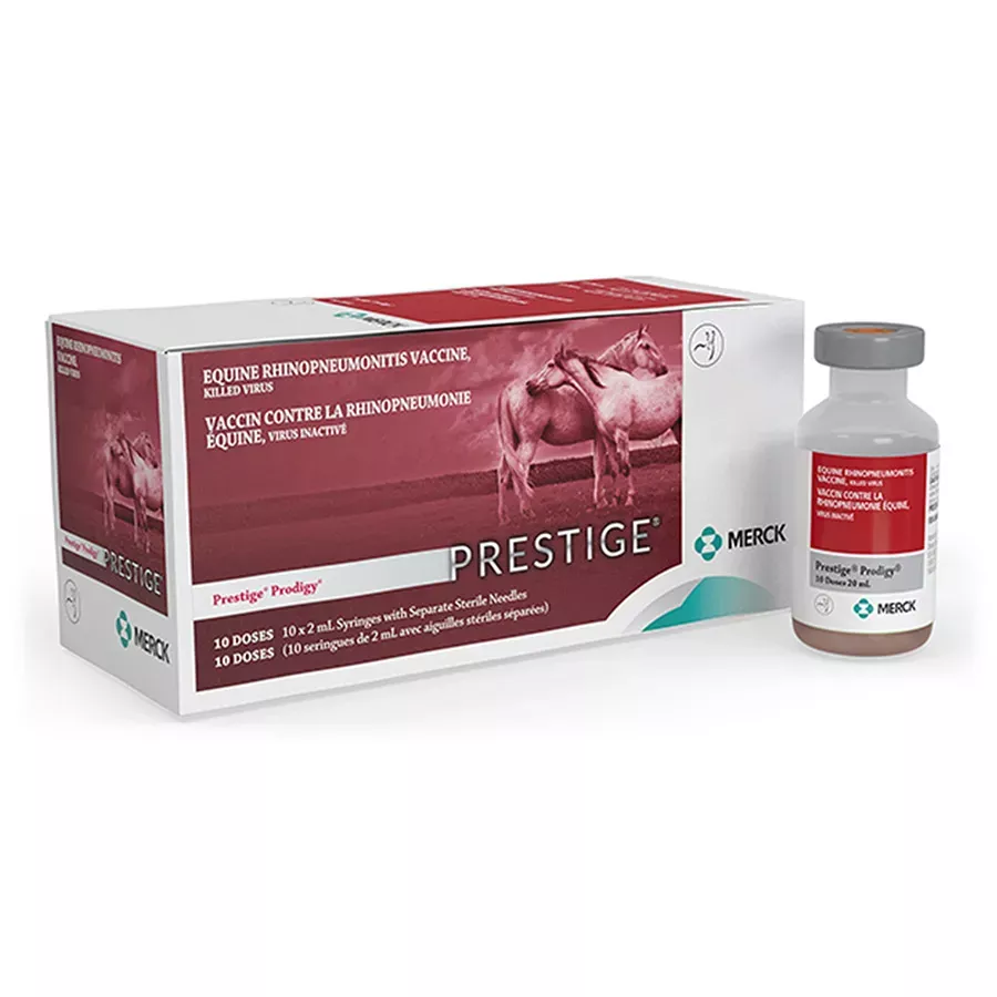 Merck Prodigy with Havlogen Equine Vaccine - 2 ml