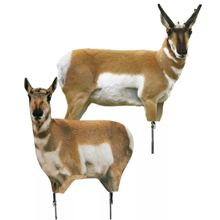 Montana Decoy Antelope Buck & Doe