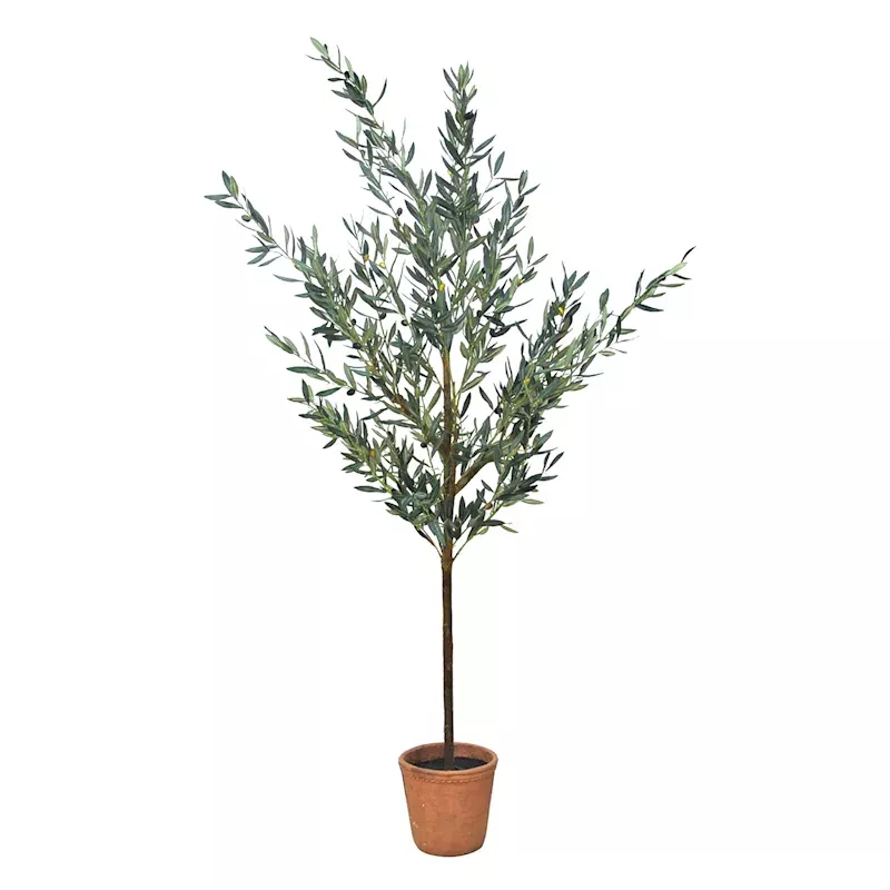 Olive Tree in Melamine Vessel, 72"
