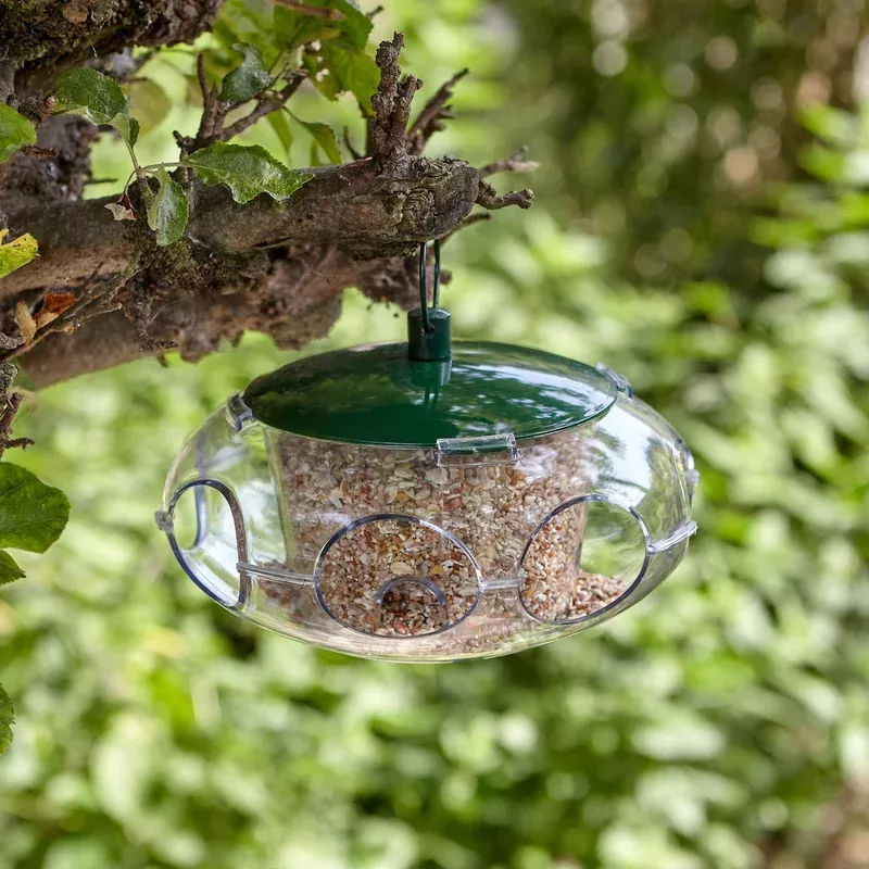 Peckish Small Ufo Bird Feeder Green 25cm Small-entry Design