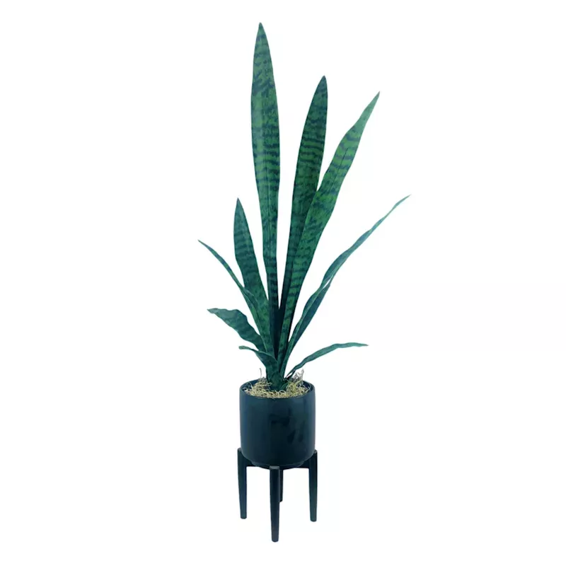 Snake Plant in Ceramic Stand, 44"