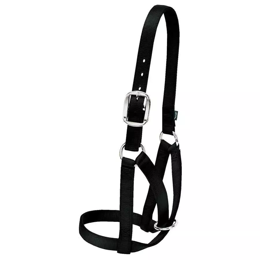 Weaver 1" Large Barn Cow Halter