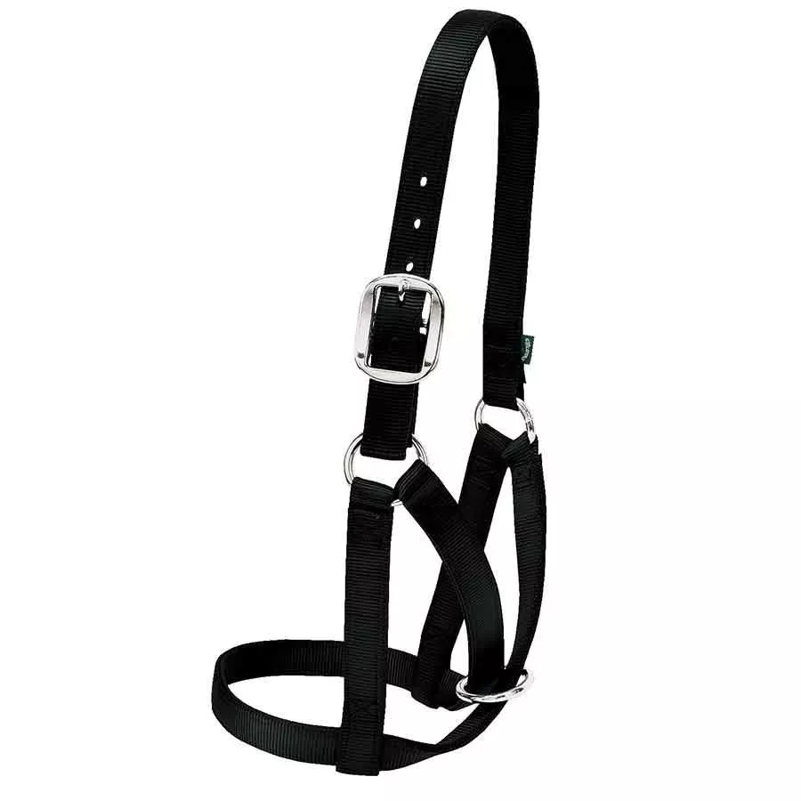 Weaver 1" Medium Barn Cow Halter