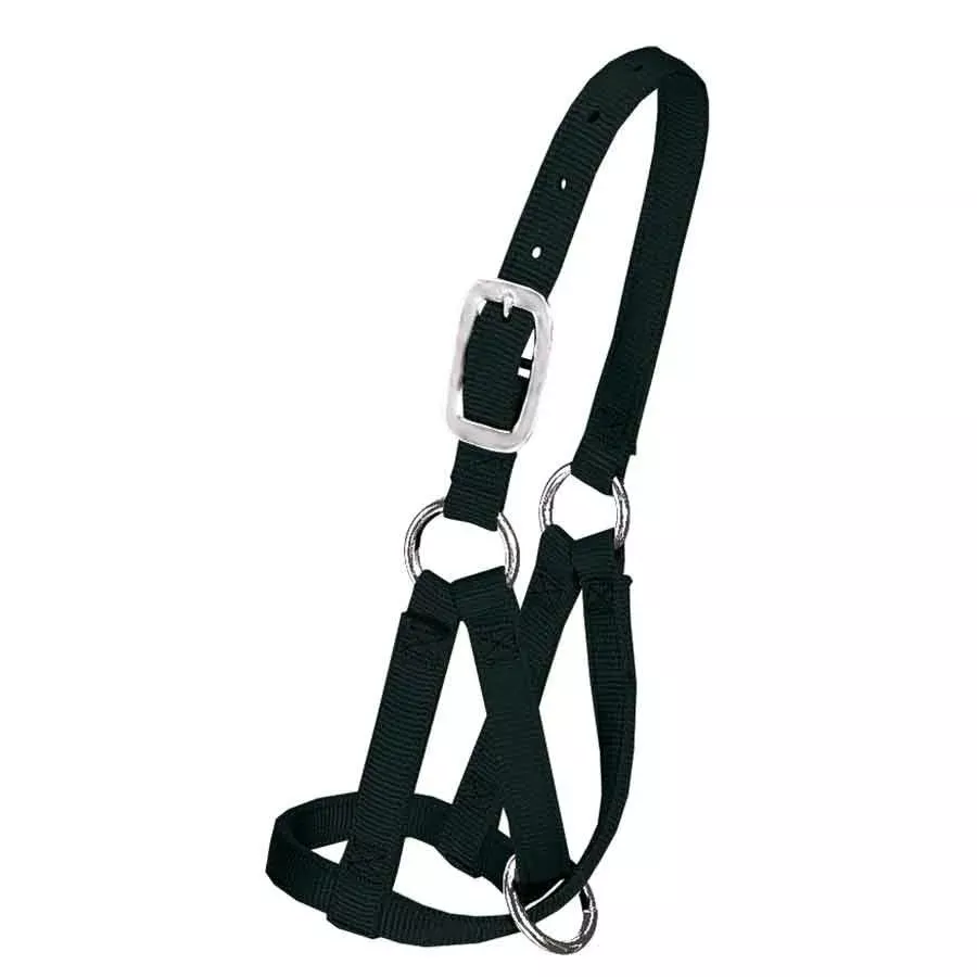 Weaver 3/4" Medium/Large Llama Halter