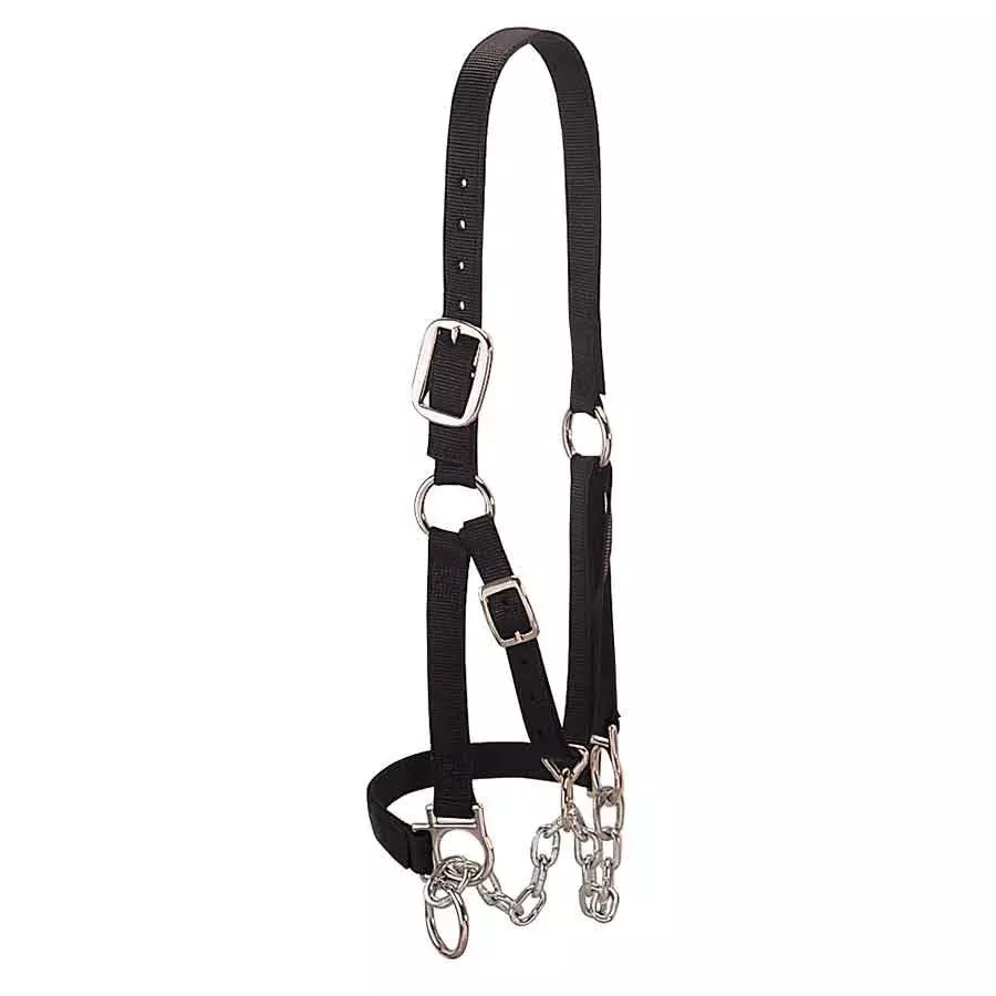 Weaver Small Heavy-Duty Restraint Halter