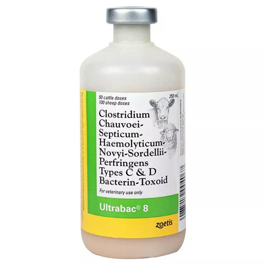 Zoetis Ultrabac 8- 50 Dose